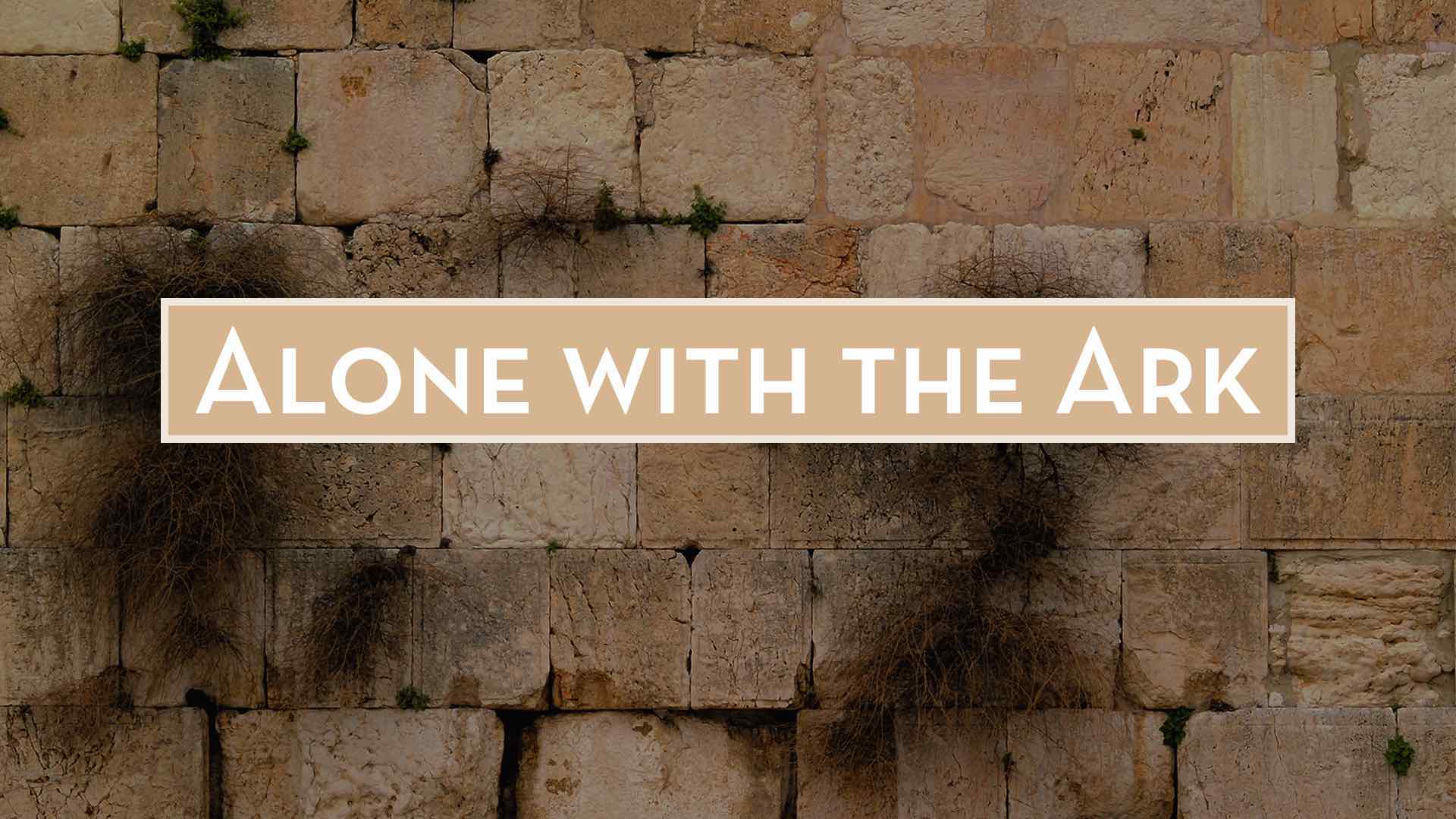 Read more about the article November 20th 2022 – “Alone with the Ark”