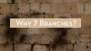 Why 7 Branches? - Sermon