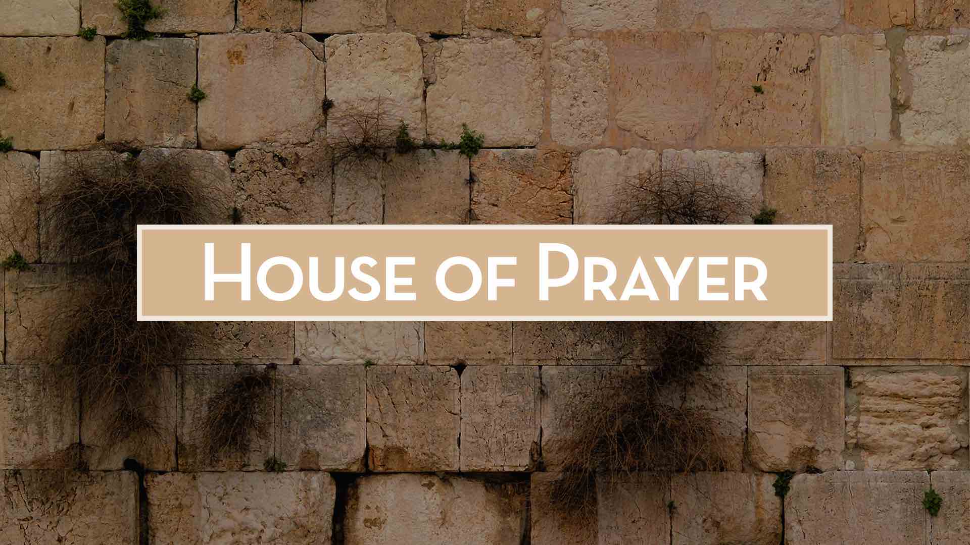 Read more about the article January 1st 2023 – “House of Prayer”