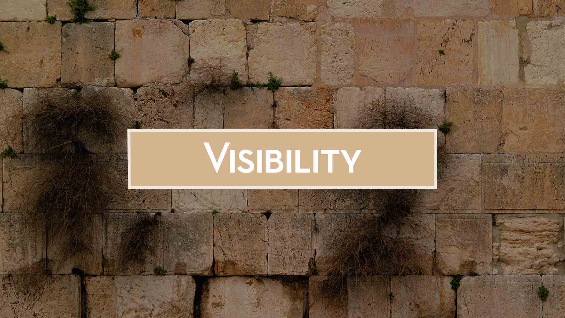 Read more about the article January 22nd 2023 – “Visibility”